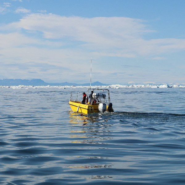 Tag på Isfjordssejlads med Ilulissat Tours